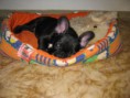 /album/fotogaleria/img-0735-2-jpg/